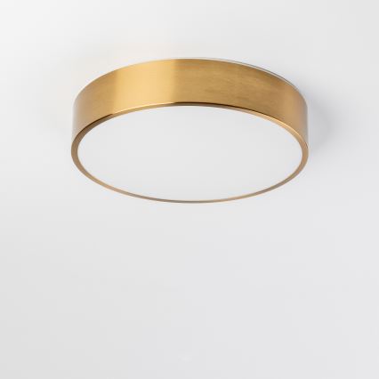 Brilagi - LED-plafondlamp voor badkamer POOL LED/24W/230V 3000/4000/5500K Ø 30 cm IP54 brons