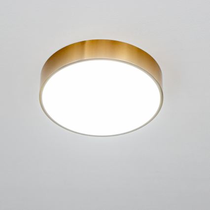 Brilagi - LED-plafondlamp voor badkamer POOL LED/24W/230V 3000/4000/5500K Ø 30 cm IP54 brons