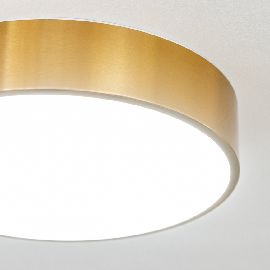 Brilagi - LED-plafondlamp voor badkamer POOL LED/24W/230V 3000/4000/5500K Ø 30 cm IP54 brons