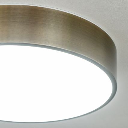 Brilagi - LED badkamerplafondlamp POOL LED/24W/230V 3000/4000/5500K Ø 30 cm IP54 messing
