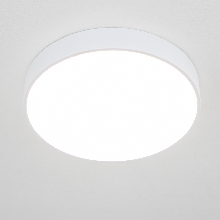 Brilagi - LED badkamerplafondlamp POOL LED/36W/230V 3000/4000/5500K Ø 40 cm IP54 wit