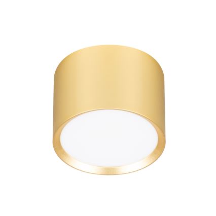 Brilagi - LED Plafondspot SMOOTH 1xGX53/15W/230V goud