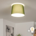 Brilagi - LED-plafonnière CERIA 1xE27/40W/230V Ø 30 cm groen