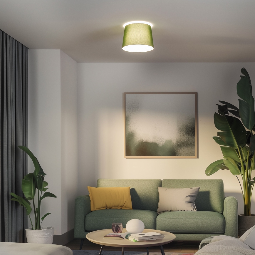 Brilagi - LED-plafonnière CERIA 1xE27/40W/230V Ø 30 cm groen