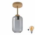 BRILAGI - LED plafonnière RETRO GLASS 1xE27/60W/230V Ø 14 cm beige/rookgrijs