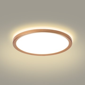 Brilagi - LED plafonnière voor badkamer ULTRA SLIM LED/24W/230V Ø 42 cm roségoud IP54