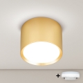 Brilagi - LED RGB+CCT dimbare spot SMOOTH 1xGX53/14W/230V 2700-6500K Wi-Fi Tuya goud