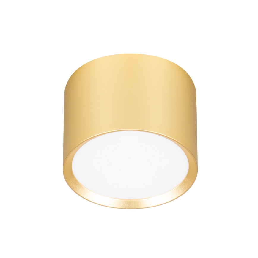Brilagi - LED RGB+CCT dimbare spot SMOOTH 1xGX53/14W/230V 2700-6500K Wi-Fi Tuya goud