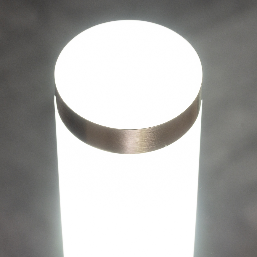 BRILAGI - LED RGBW dimbare buitenlamp ELIA 1xE27/6,5W/230V 2700-6500K IP44 Wi-Fi 100 cm mat chroom