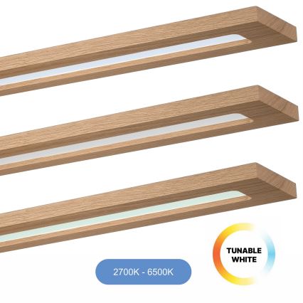 Brilagi - LED RGBW Dimbaar lichtpaneel WOODY FRAME LED/34W/230V 11,5x123 cm 2700-6500K eiken + afstandsbediening