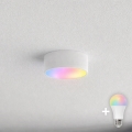 BRILAGI - LED RGBW dimbare badkamerplafondlamp CLARE 1xE27/12W/230V 2700-6500K Ø 20 cm IP54 Wi‑Fi wit