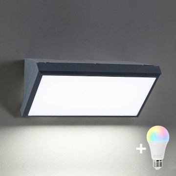 BRILAGI - LED RGBW dimbare buitenwandlamp TRIANGLE 1xE27/12W/230V 2700-6500K IP65 antraciet