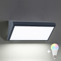 Brilagi - LED RGBW dimbare buitenwandlamp TRIANGLE 1xE27/9W/230V 2700-6500K IP65 antraciet