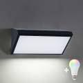 Brilagi - LED RGBW dimbare buitenwandlamp TRIANGLE 1xE27/9W/230V 2700-6500K IP65 zwart