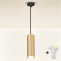 Brilagi - LED RGBW dimbare hanglamp aan kabel SELE 1xGU10/4,8W/230V 3000K zwart/goud + afstandsbediening