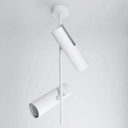 Brilagi - LED RGBW dimbare hanglamp met stang BRANCH 2xGU10/6,5W/230V 2700-6500K wit