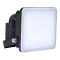 BRILAGI - LED schijnwerper ELARA PRO LED/10W/230V IP65