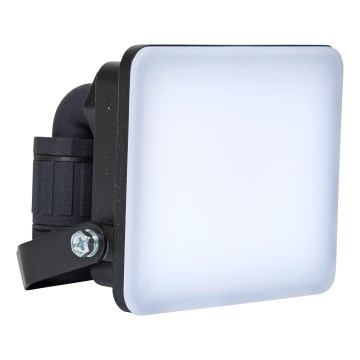 Brilagi - LED Schijnwerper ELARA PRO LED/10W/230V IP65