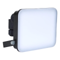 BRILAGI - LED-schijnwerper ELARA PRO LED/30W/230V IP65