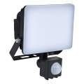 BRILAGI - LED Schijnwerper met sensor ELARA PRO LED/10W/230V IP65
