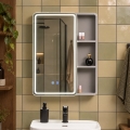 BRILAGI - LED-spiegelkast voor de badkamer met verlichting AVOLA SINGLE 55x70 cm