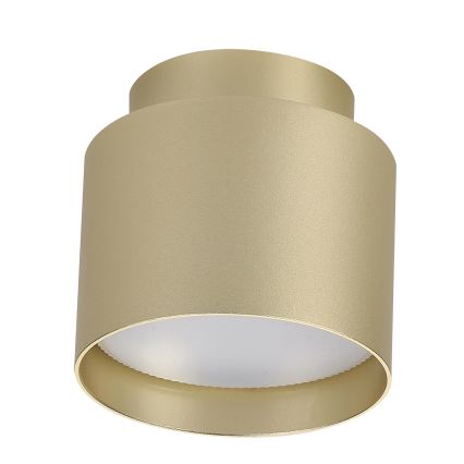 BRILAGI - LED-spot BACKLIT 1xGX53/15W/230V + LED/3W Ø 8 cm goud
