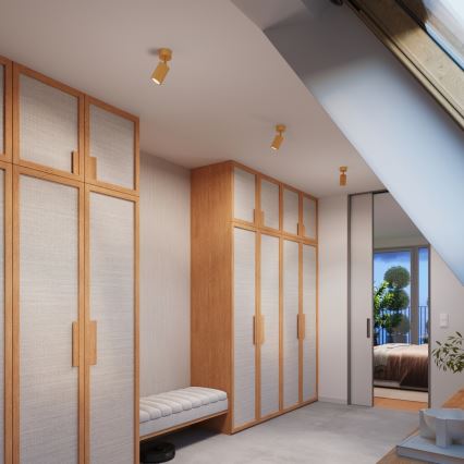 Brilagi - LED spot CRESTO 1xGU10/10W/230V goud