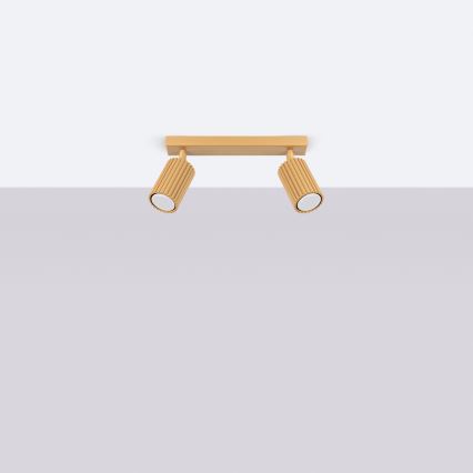 Brilagi - LED-spot CRESTO 2x GU10 (10W, 230V) goudkleurig