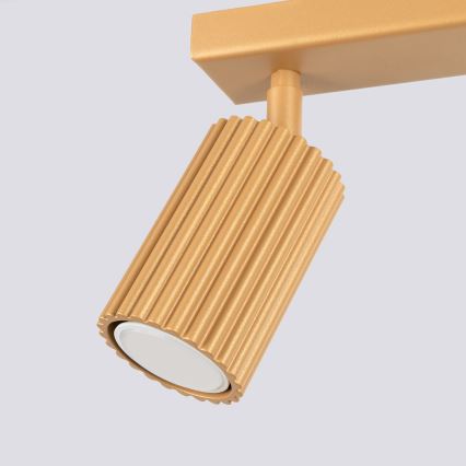 Brilagi - LED-spot CRESTO 2x GU10 (10W, 230V) goudkleurig