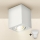 Brilagi - LED Spot MIA 1xGU10/30W/230V 100x80 mm wit