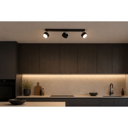 Brilagi - LED-spot MONO 3xGX53/30W/230V zwart