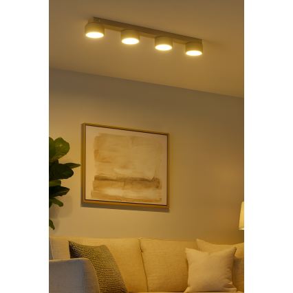 Brilagi - LED spot MONO 4xGX53/30W/230V beige