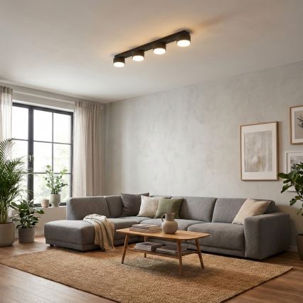 Brilagi - LED-spot MONO 4xGX53/30W/230V zwart