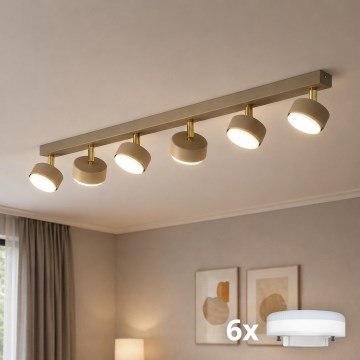 Brilagi - LED-spot MONO 6xGX53/30W/230V beige/goud