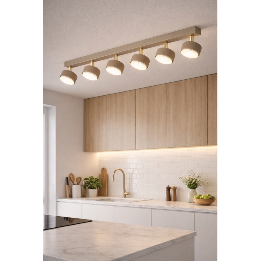 Brilagi - LED-spot MONO 6xGX53/30W/230V beige/goud