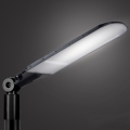 Brilagi - LED-straatlamp URBANLIGHT LED/250W/230V zwart IP65