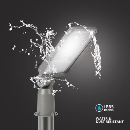 Brilagi - LED-buitenstraatlamp met scharnier URBANLIGHT LED/50W/230V grijs IP65