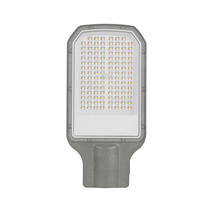 Brilagi - LED straatlamp voor buiten URBANLIGHT LED/50W/230V grijs IP65