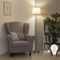 Brilagi - LED vloerlamp CERIA 1xE27/20W/230V Ø 30 cm beige/goud
