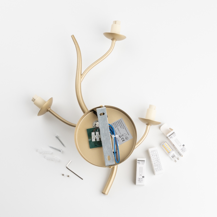 Brilagi - LED wand verlichting MISTEL 3xG9/3W/230V goud