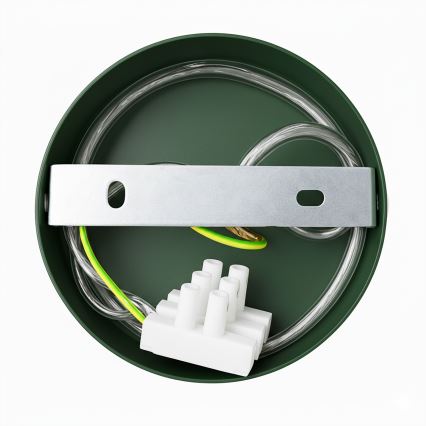 Brilagi - LED Wandlamp FLAMENGO 1xE27/60W/230V groen