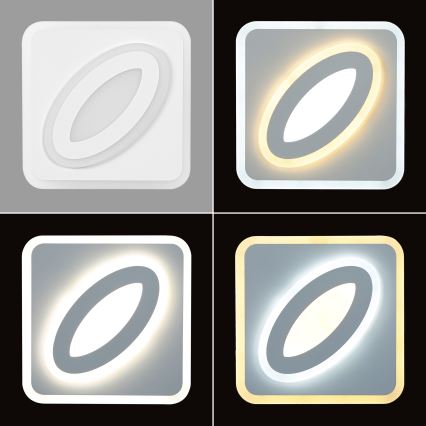 Brilagi - LED Wandlamp MODERN MINI LED/32W/230V 3000/4000/6000K