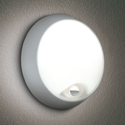 Brilagi - LED Wandlamp voor buiten met sensor 2in1 BULKHEAD LED/20W/230V IP65