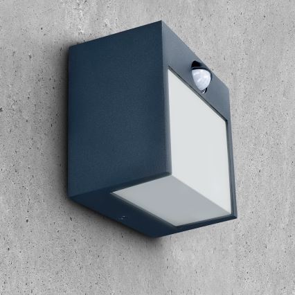 Brilagi - LED Wandlamp voor buiten met sensor TERNI LED/12W/230V antraciet IP44