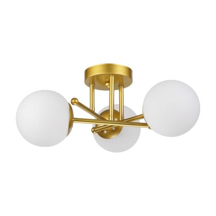 Brilagi - Opbouw plafondlamp MALIVA 3xE14/15W/230V goud/wit