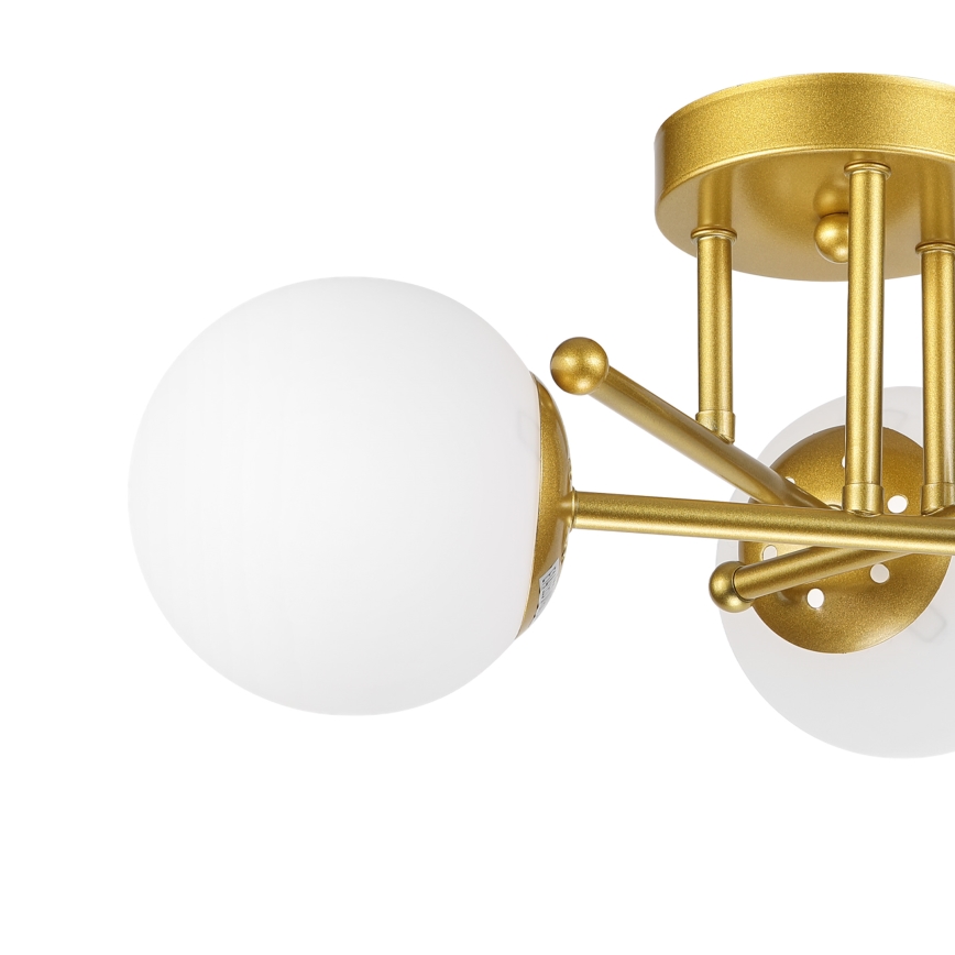 Brilagi - Opbouw plafondlamp MALIVA 3xE14/15W/230V goud/wit