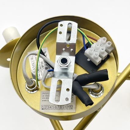 Brilagi - Opbouw plafondlamp MALIVA 3xE14/15W/230V goud/wit