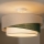 Brilagi - Opbouwplafondlamp ARROW 1xE27/60W/230V Ø 45 cm beige/groen/wit