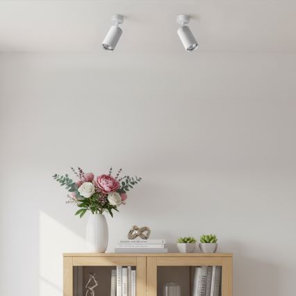 Brilagi - Opbouwspot SELE MODERN 1xGU10/30W/230V wit