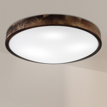 Brilagi - Plafondlamp CARVALHO SLIM SMOKEY 3xE27/60W/230V eiken Ø 47,5 cm